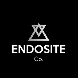 ENDOSITE CO. logo