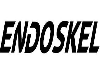 ENDOSKEL logo