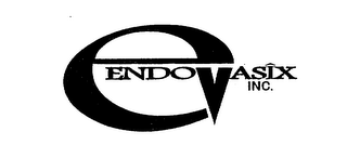 ENDOVASIX INC. logo
