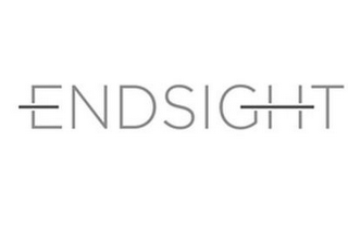 ENDSIGHT logo