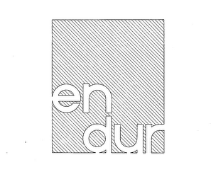 ENDUR logo