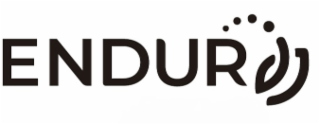 ENDUR logo