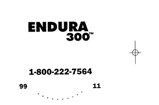 ENDURA 300 logo