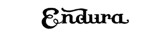 ENDURA logo