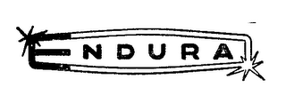 ENDURA logo