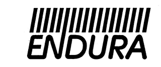 ENDURA logo