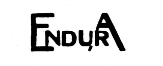 ENDURA logo