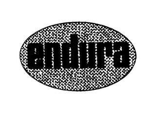 ENDURA logo