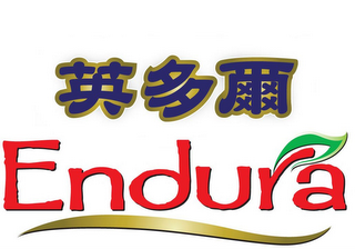 ENDURA logo