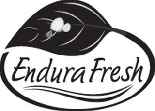 ENDURAFRESH logo