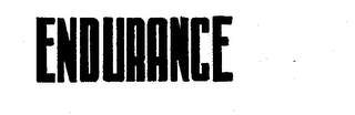 ENDURANCE logo