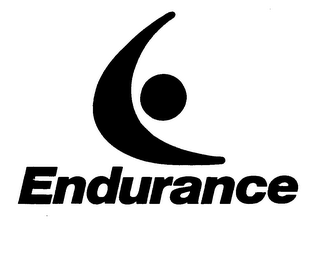 ENDURANCE logo