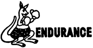 ENDURANCE logo