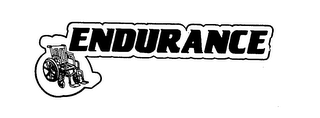 ENDURANCE logo