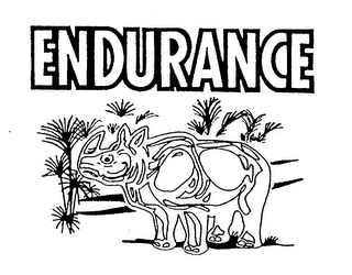 ENDURANCE logo