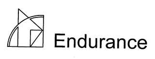 ENDURANCE logo