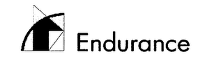 ENDURANCE logo