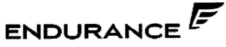 ENDURANCE logo