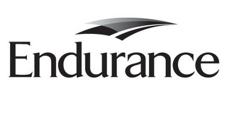 ENDURANCE logo