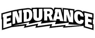 ENDURANCE logo