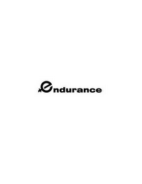 ENDURANCE logo