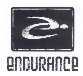 ENDURANCE logo