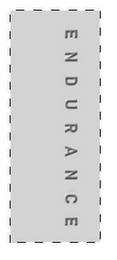 ENDURANCE logo