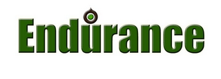 ENDURANCE logo