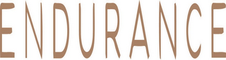 ENDURANCE logo