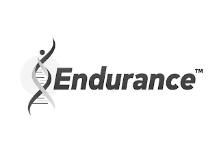 ENDURANCE logo
