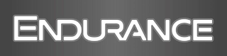 ENDURANCE logo