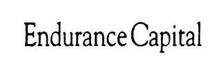 ENDURANCE CAPITAL logo