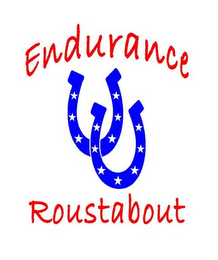 ENDURANCE ROUSTABOUT logo