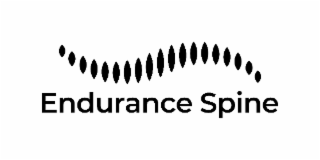 ENDURANCE SPINE