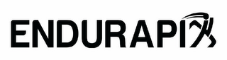 ENDURAPIX logo