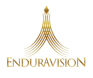 ENDURAVISION logo