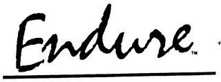 ENDURE logo