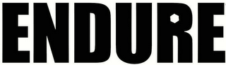 ENDURE logo