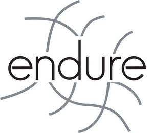 ENDURE logo