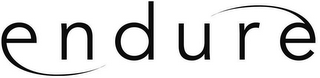 ENDURE logo
