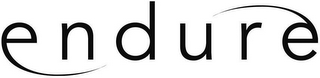 ENDURE logo