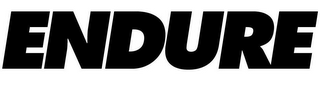 ENDURE logo