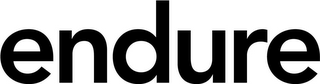 ENDURE logo