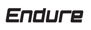 ENDURE logo