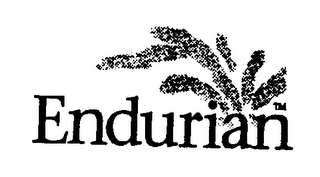 ENDURIAN logo