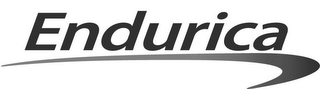 ENDURICA logo