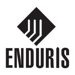 ENDURIS logo
