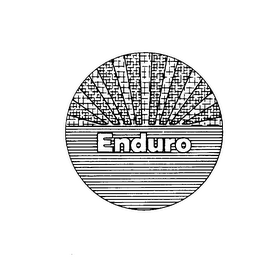 ENDURO logo