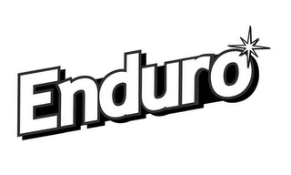 ENDURO logo