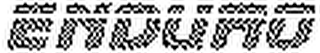 ENDURO logo